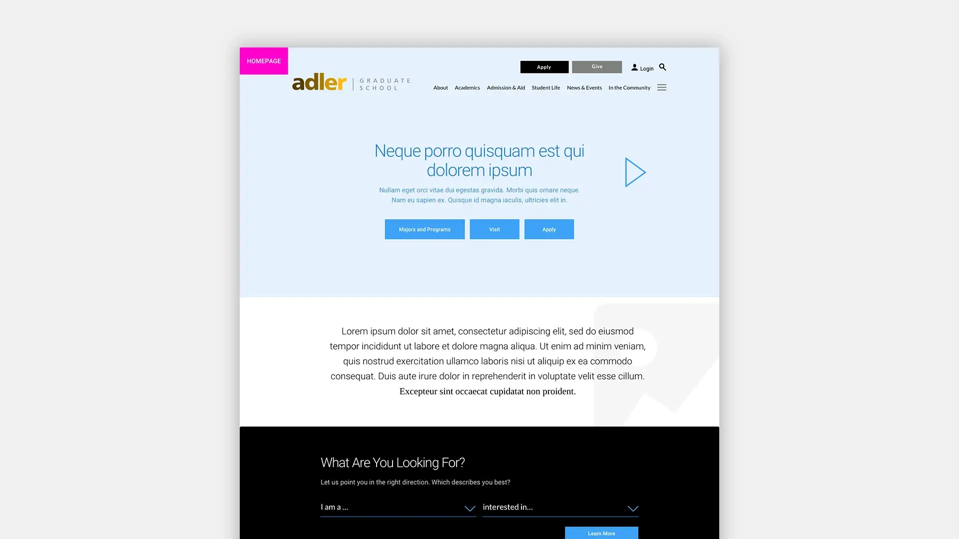 A wireframe of the Homepage for the Adler Graduate School website redesign